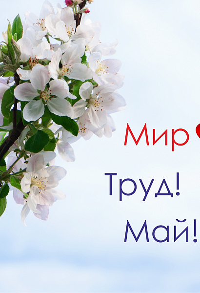 Фон карточки